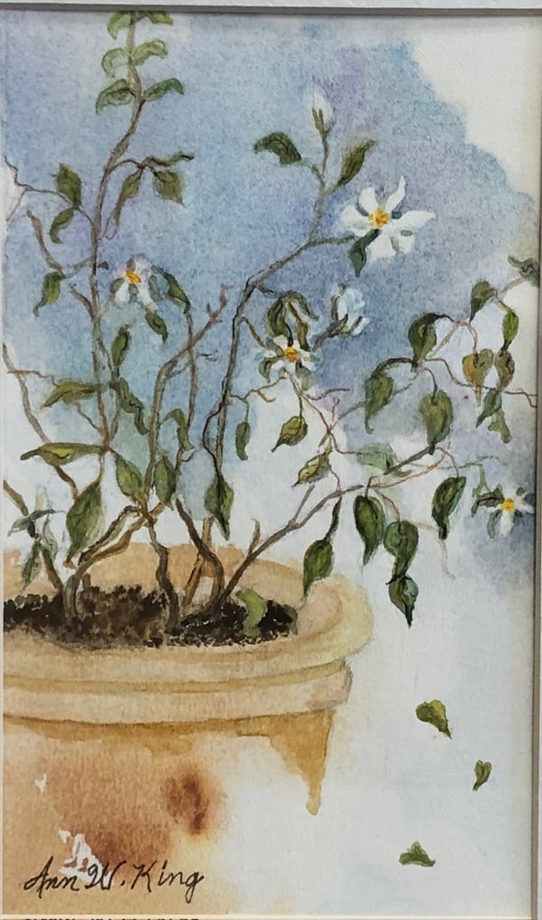 Anna King